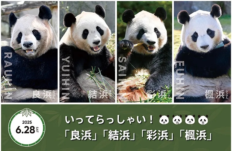 6cd1872bb3f94e01b32fc5c27118d77b