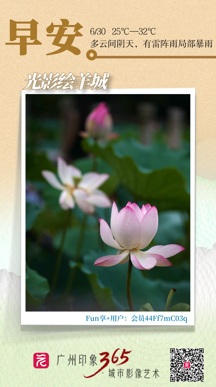 微信图片_20250629163817