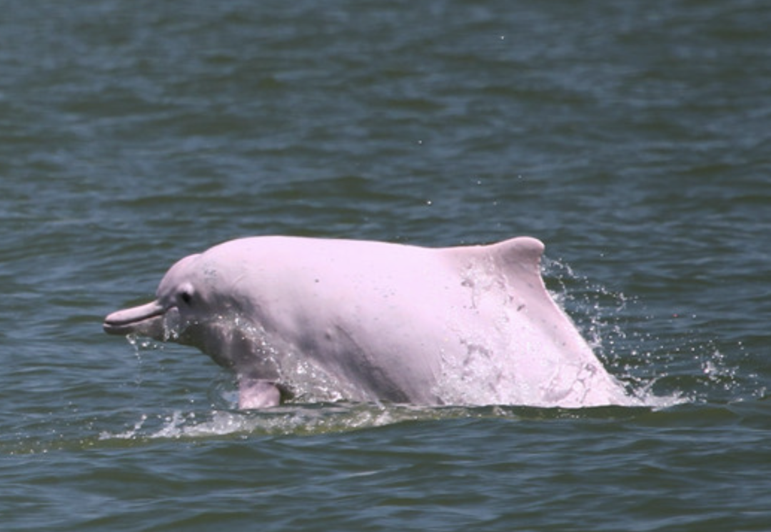 截屏2025-06-29 20.40.50