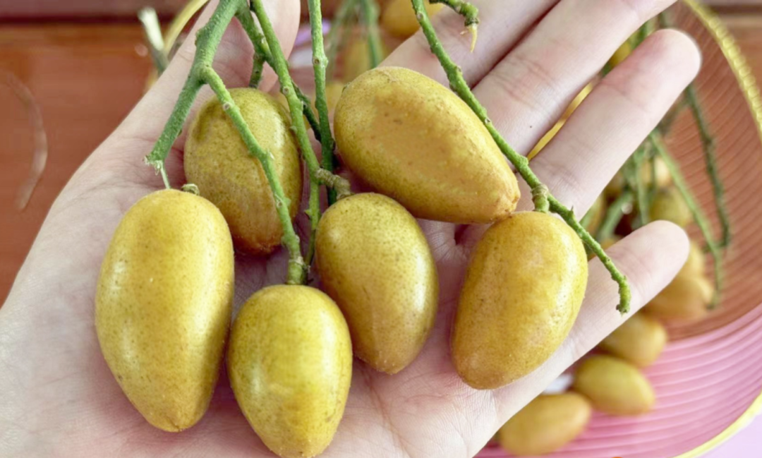 ca07aeb1051f4018b6a27fe56b33f80f