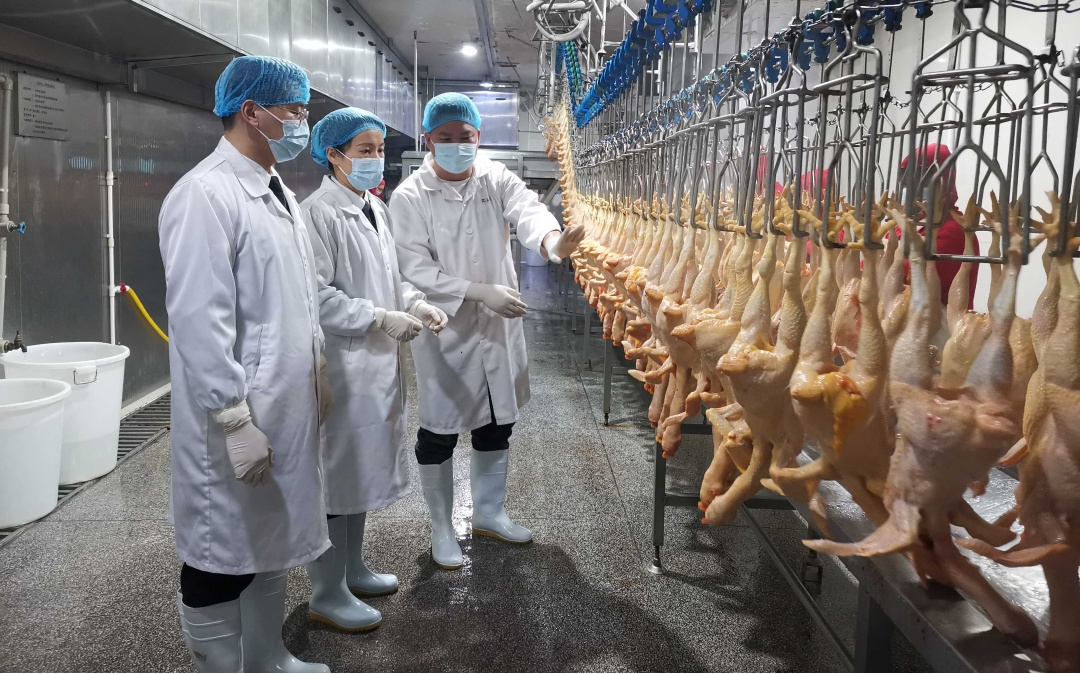 5040112033a5413e9089ac49802add8e.jpg 5040112033a5413e9089ac49802add8e.jpg