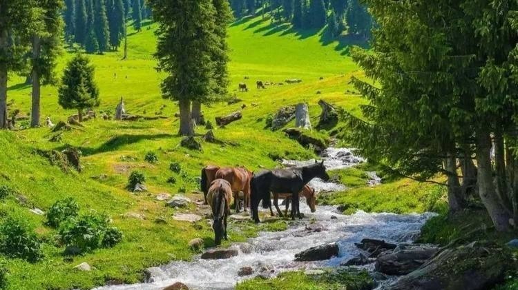 9ed8c9ad0d6a414e8f8c0dbec508ce7f