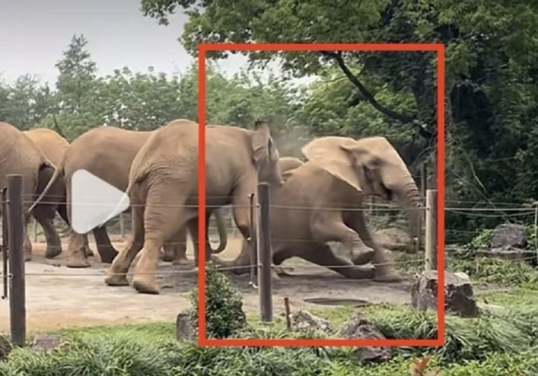 截屏2025-07-03 13.24.04