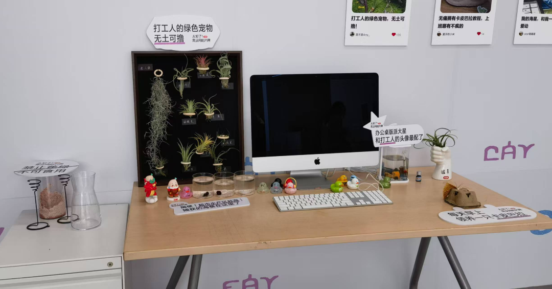 微信图片_2025-07-04_170953_590 微信图片_2025-07-04_170953_590