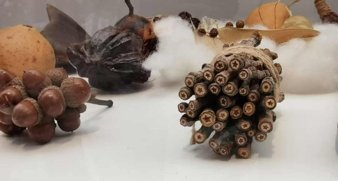 微信图片_2025-07-04_170959_028 微信图片_2025-07-04_170959_028