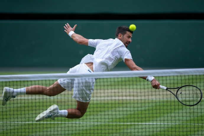 温网德约科维奇