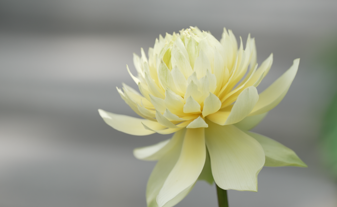 微信图片_20250706210826