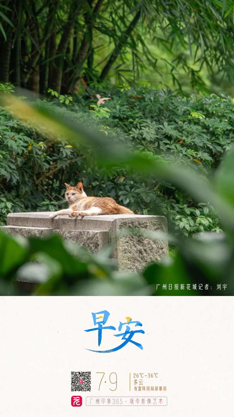 微信图片_20250708164701