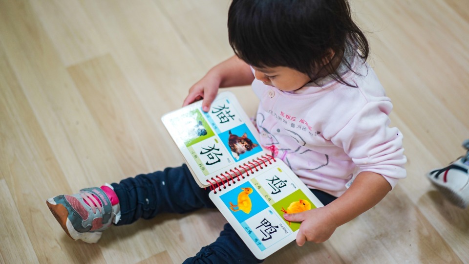 dd5f1c42cc254fa8b3cf8b60a009e224