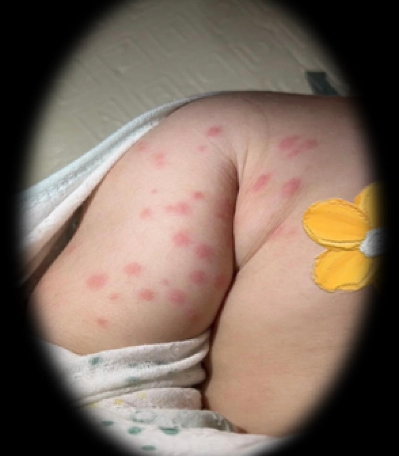 e049f8e469304f559e433180e54084f2.jpg e049f8e469304f559e433180e54084f2.jpg