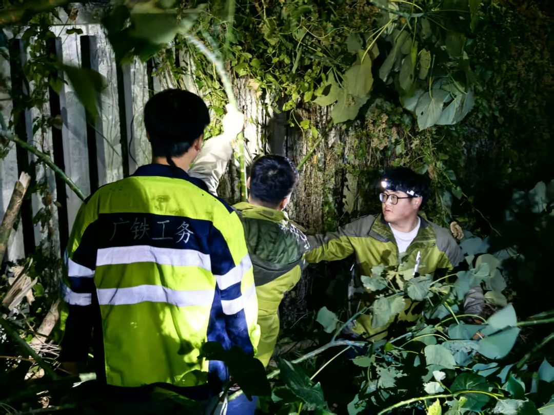 1752051221613.jpg 1752051221613.jpg