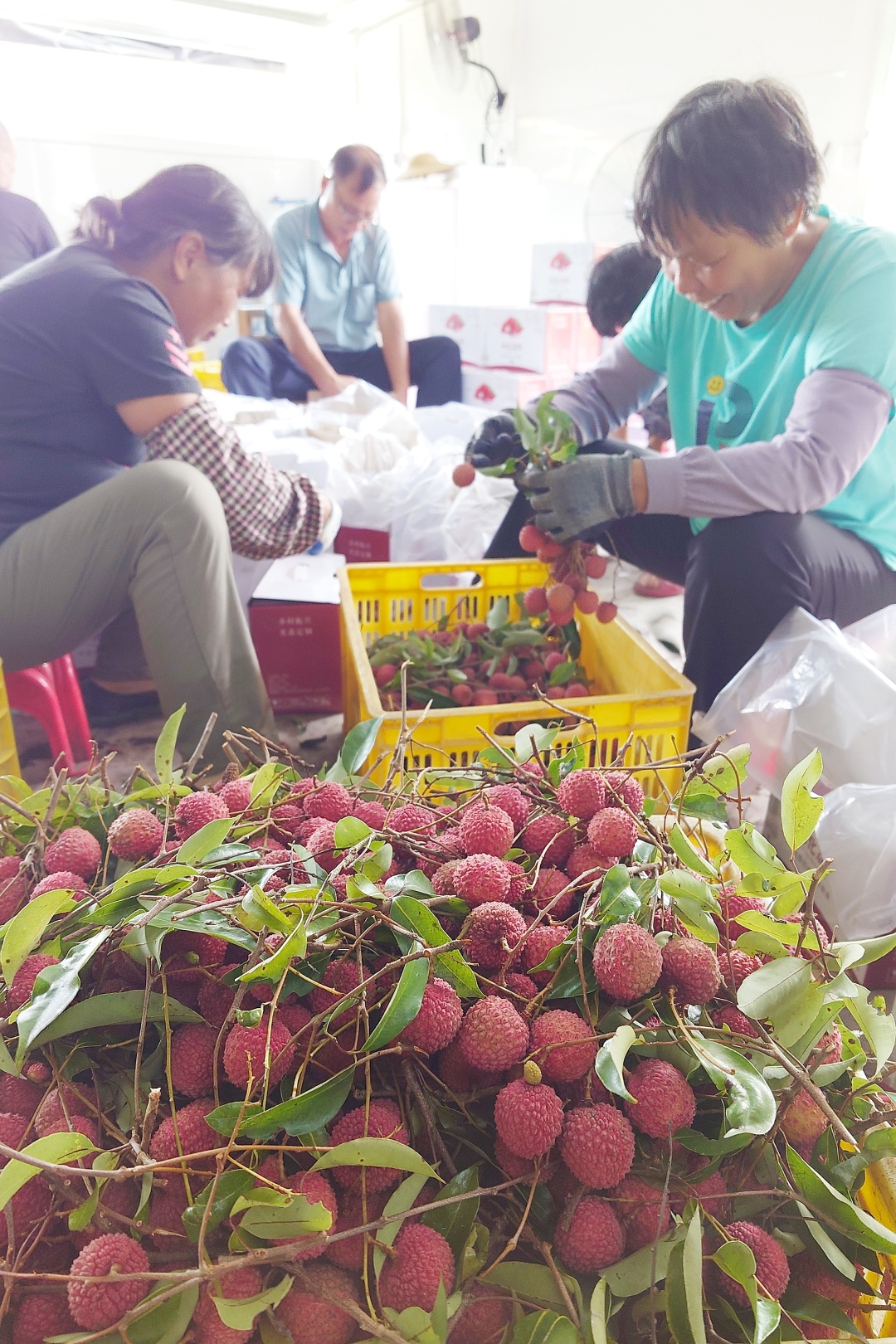 王维宣-如今的锦一村,正一步步将“产业兴旺、生态-NEP1_20250710_C00414097113