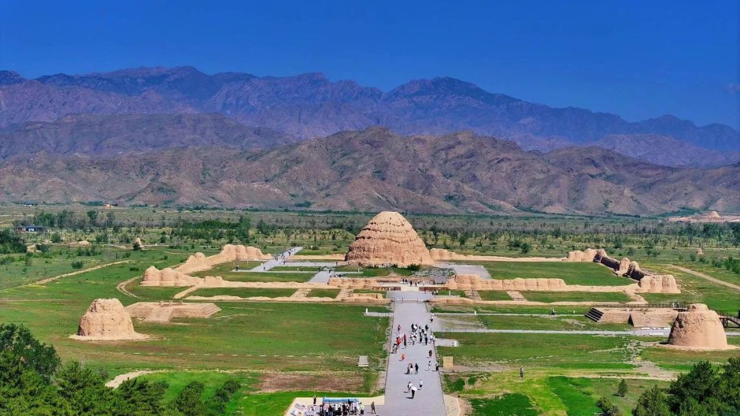 微信图片_20250712105004