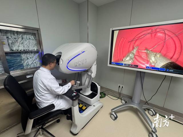 南方医科大学珠江医院泌尿外科主任徐啊白演示操作手术机器人。 南方医科大学珠江医院泌尿外科主任徐啊白演示操作手术机器人。