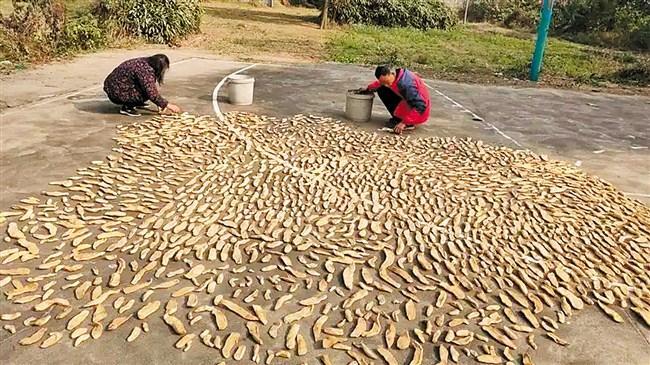 732af8ee-fd3b-44b8-8744-a7addb245c27