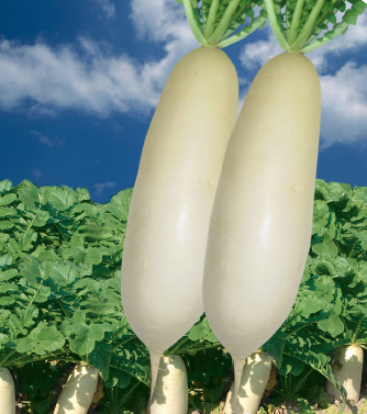 微信图片_20250706151455