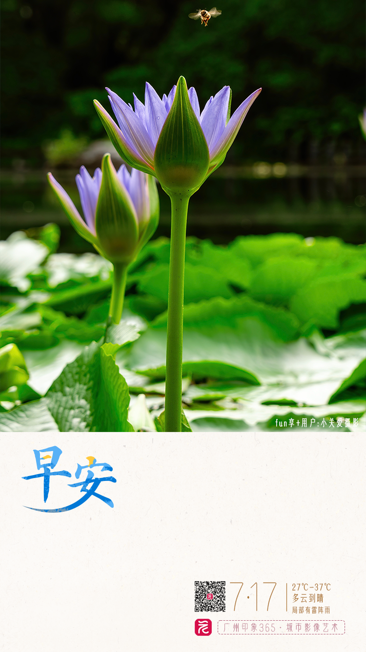 1d14de8e26e881310fc15583a5cd7b8.png 1d14de8e26e881310fc15583a5cd7b8.png