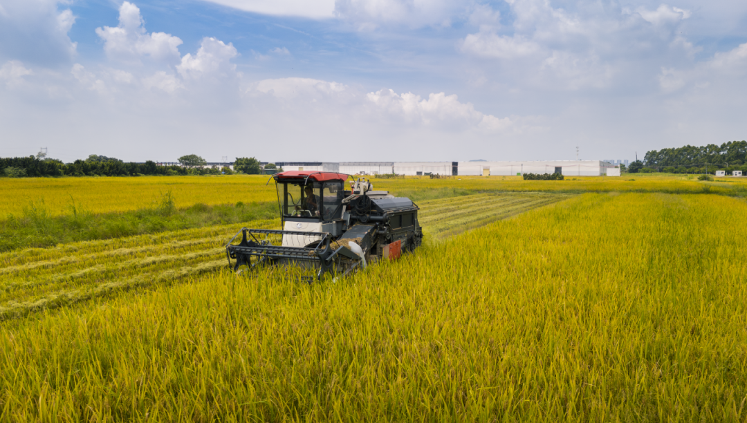 微信图片_20250716214840