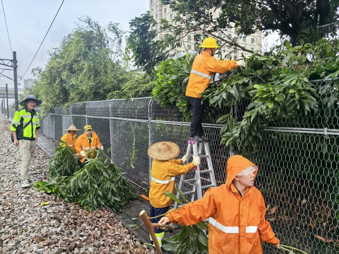 微信图片_2025-07-20_165222_548