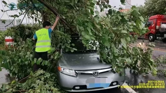 5fbb33da7bffe03f0ae15d7615082ba.jpg 5fbb33da7bffe03f0ae15d7615082ba.jpg