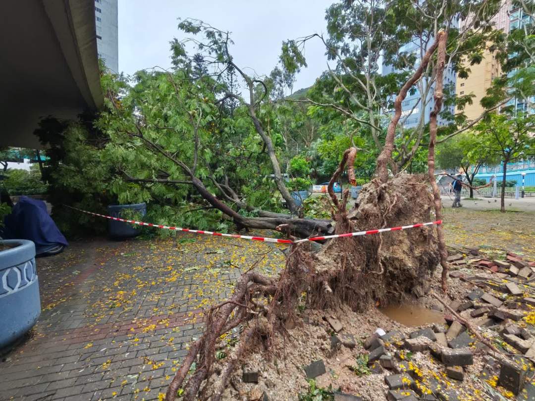 687dbf8be4b0e62e725731f71