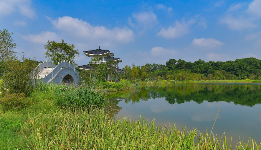 微信图片_20250723064648