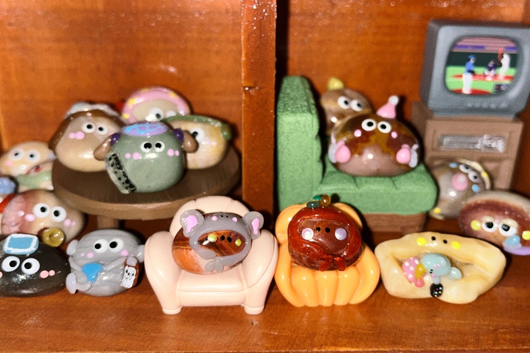 不用喂食不会生病的石头