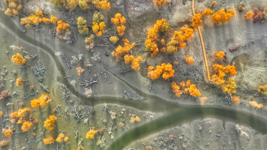 微信图片_20250715175031.jpg 微信图片_20250715175031.jpg