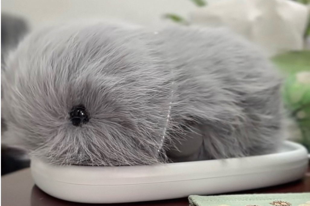 仿真的AI宠物咘咘 仿真的AI宠物咘咘