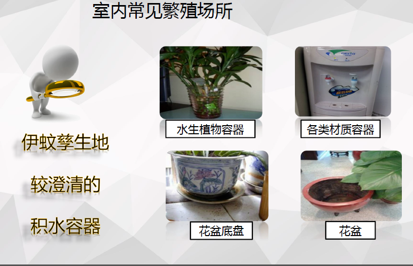 1753364556025067699.png 1753364556025067699.png