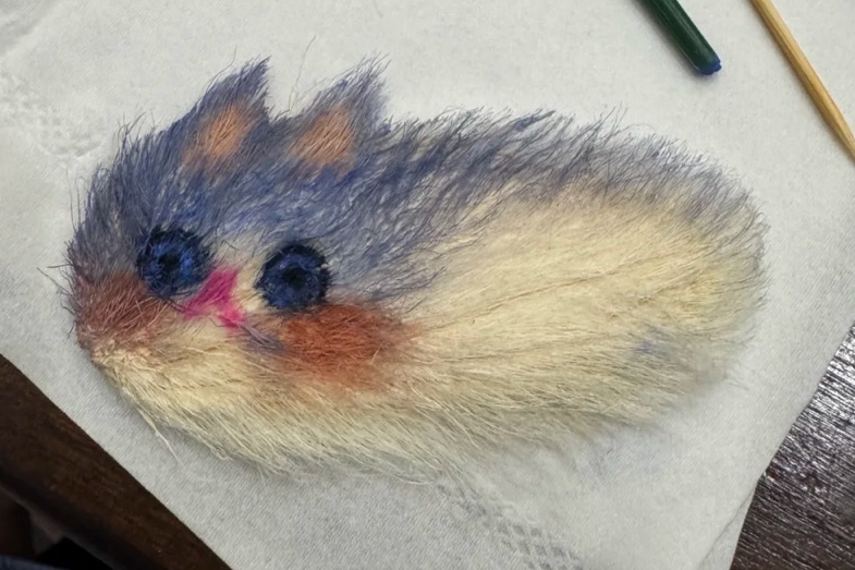 “熊一二”养的芒狗 “熊一二”养的芒狗