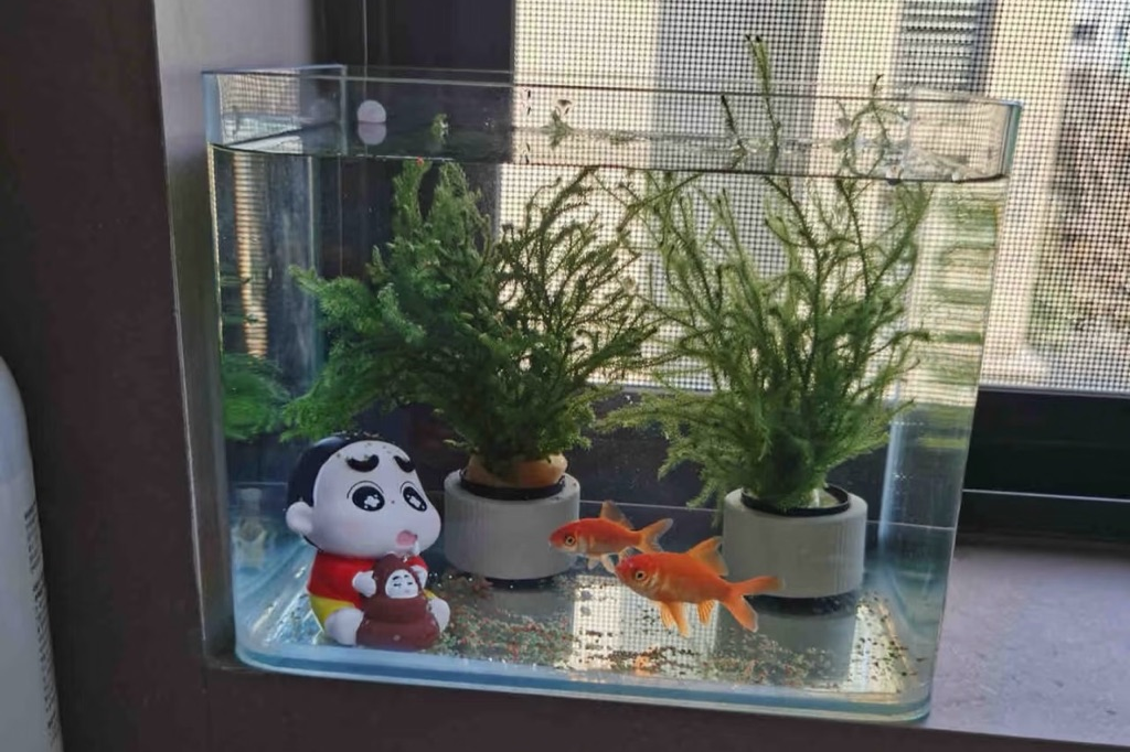 里面的小鱼是仿生的 里面的小鱼是仿生的