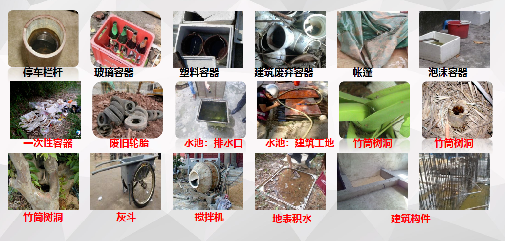 1753364556283002383.png 1753364556283002383.png