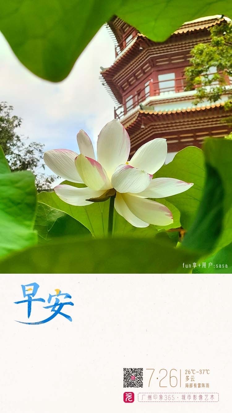 微信图片_20250725204229