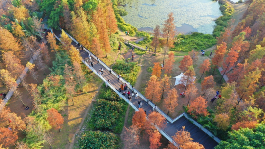 ead5124fd9134aa5815d6c250765040e