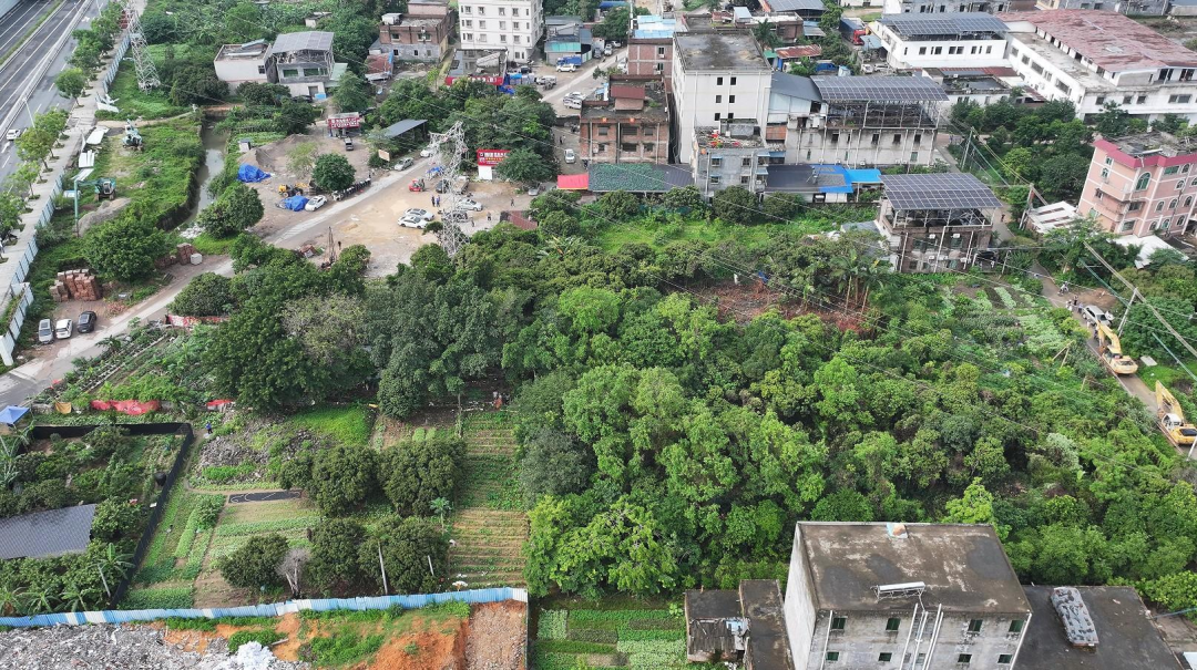 复建住宅区清拆前。通讯员供图