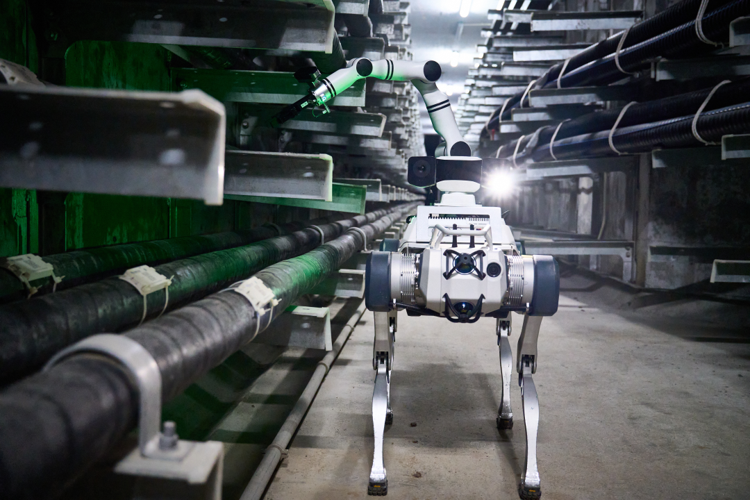 微信图片_20250728144939