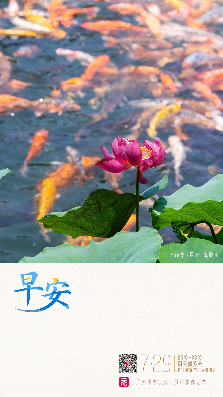 微信图片_20250728165356