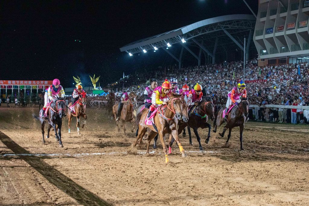 MG7A6147(张恩鑫摄)