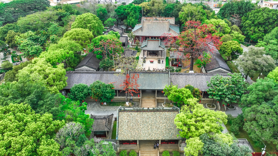 黄埔云帆.jpg 黄埔云帆.jpg