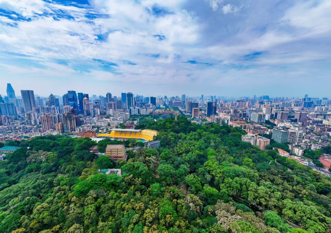 d50d0a13855e17f3f0fd61813f706d5.png d50d0a13855e17f3f0fd61813f706d5.png