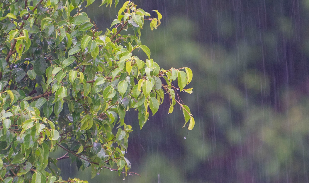 微信图片_20250803184624