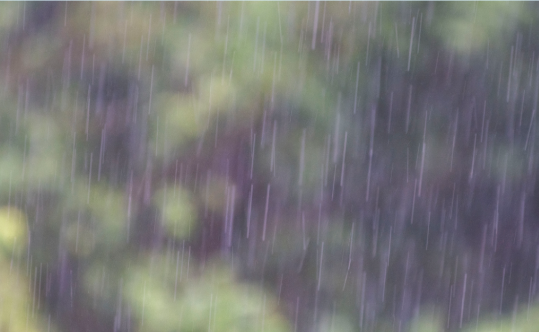 微信图片_20250803184603