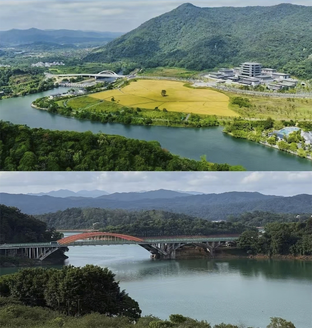 5fd5e7d3a8da63b559ba5bd329c41d3.jpg 5fd5e7d3a8da63b559ba5bd329c41d3.jpg