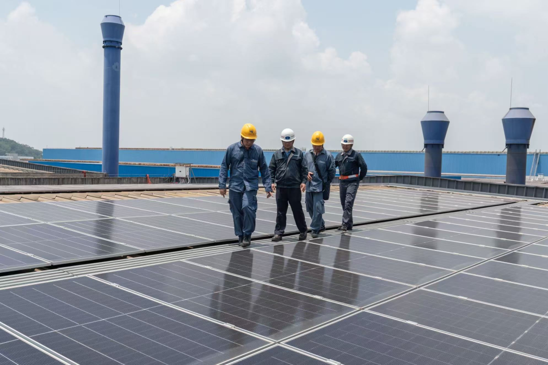 8d2fd95e45beba614997047a1dc7ec8.png 8d2fd95e45beba614997047a1dc7ec8.png