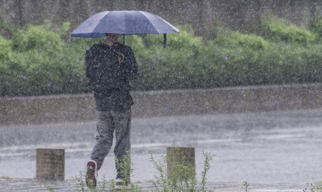 廖雪明-lxm250805 (13)-NEP1_20250805_C00414218363