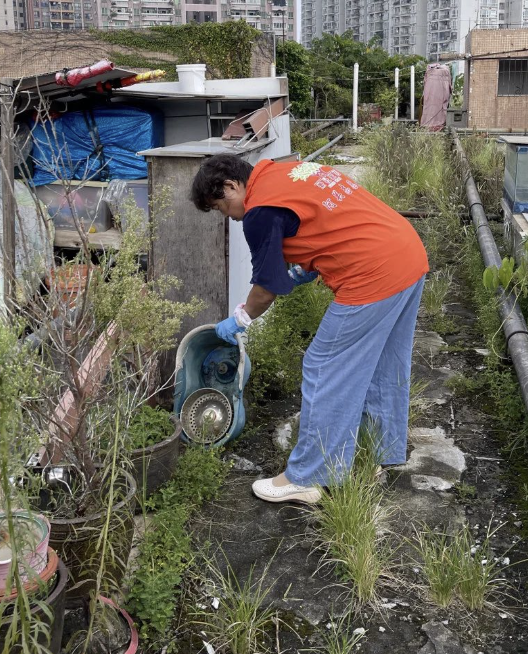 屏幕快照 2025-08-06 下午4.14.35