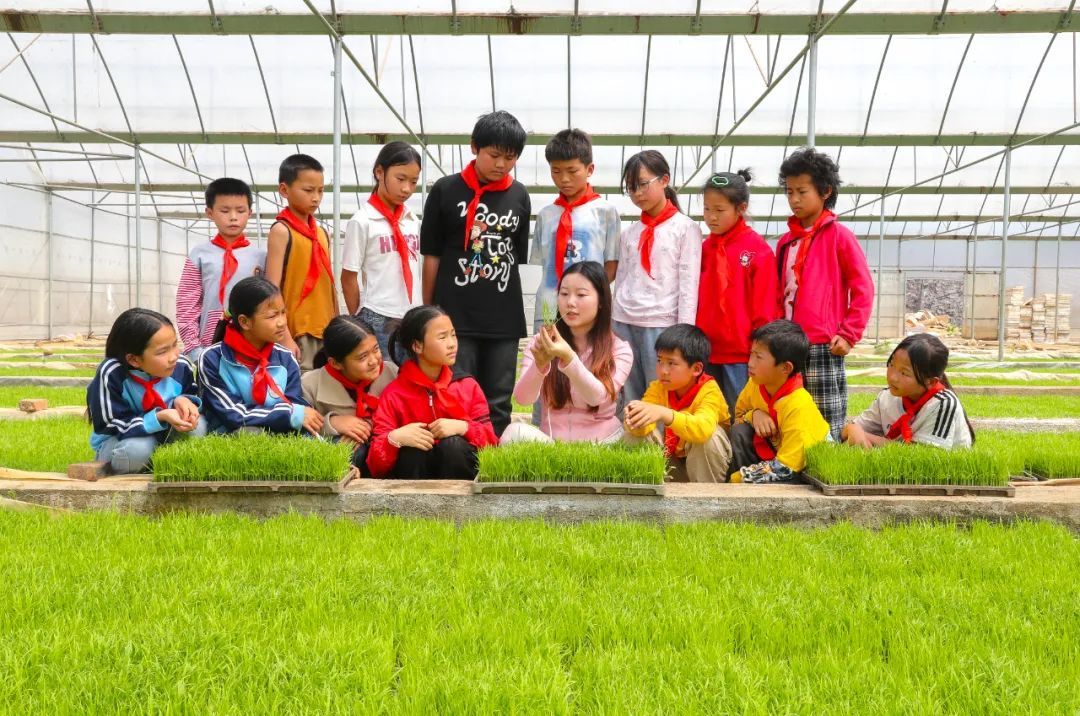 4月15日,湖南省新田县学生在育苗基地开展研学。中国教育报
