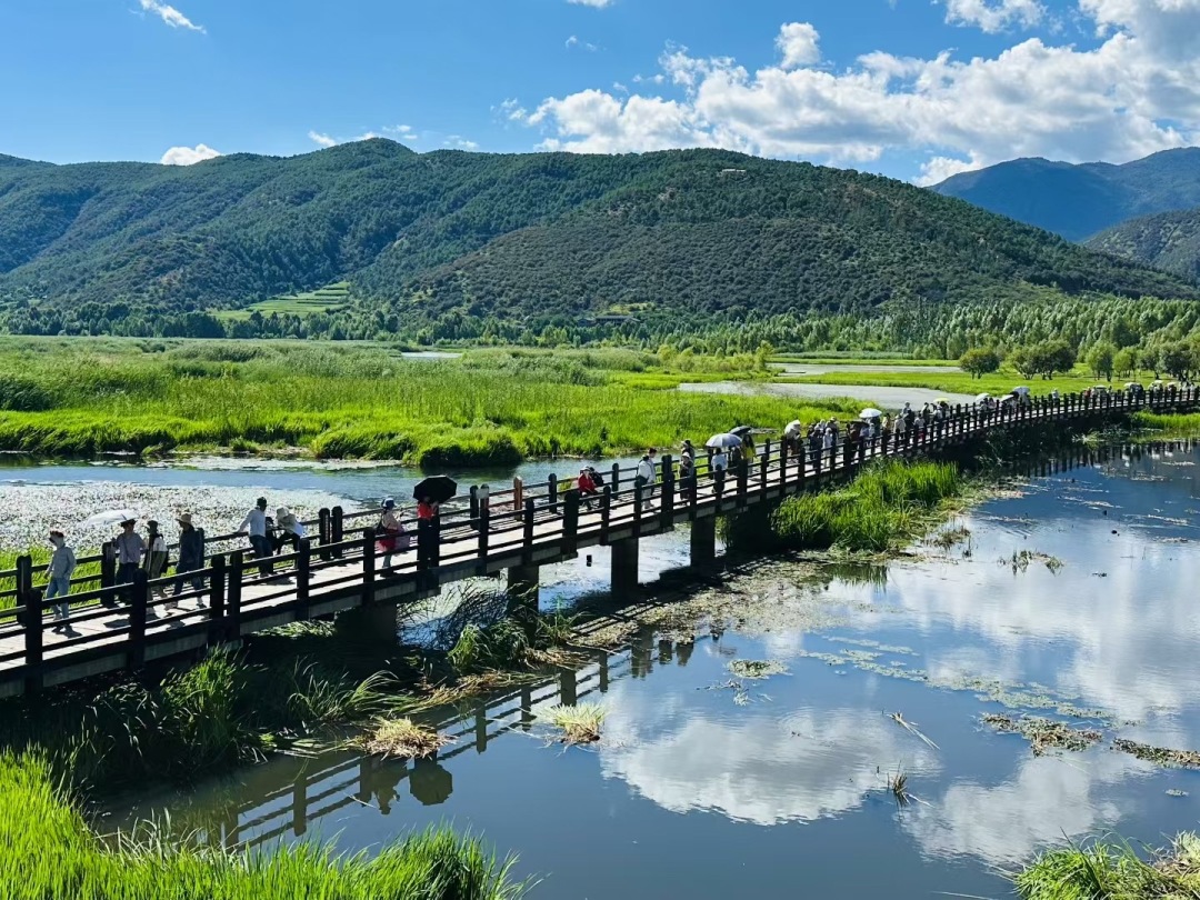 5蔡静雯.jpg 5蔡静雯.jpg