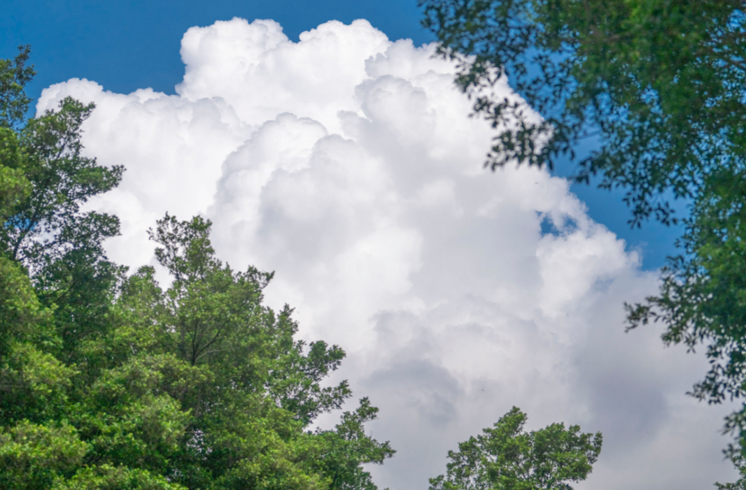 微信图片_20250811194049